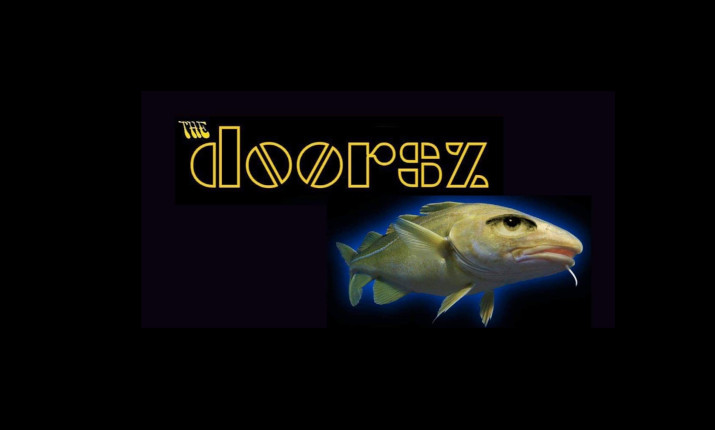 Tribute to The Doors – The Doorsz