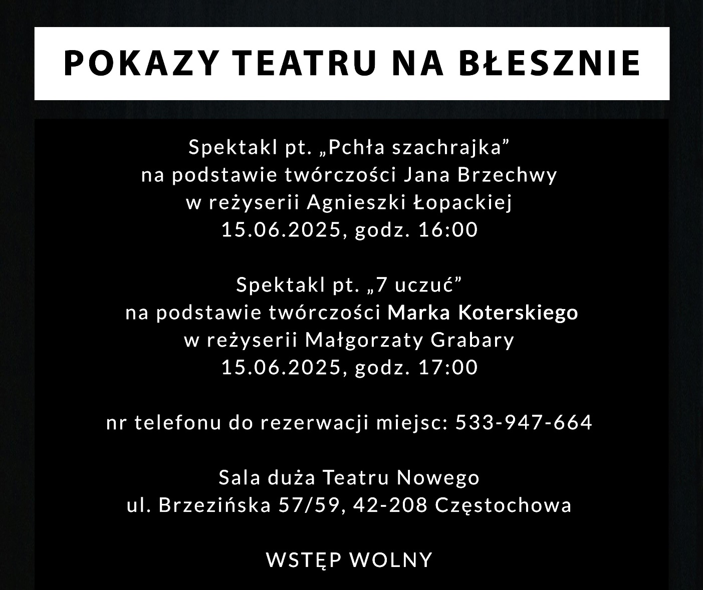 Pokaz podsumowujący warsztaty „Teatr na Błesznie”