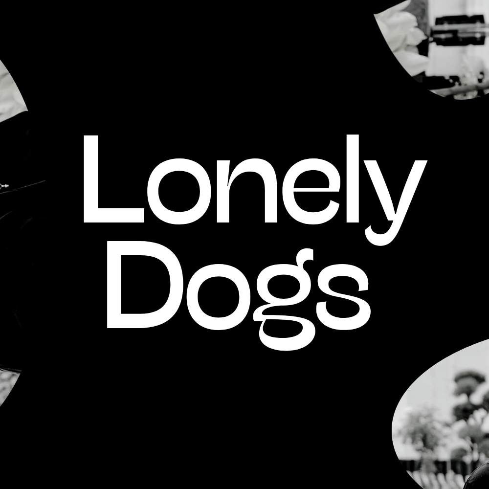Lonely Dogs